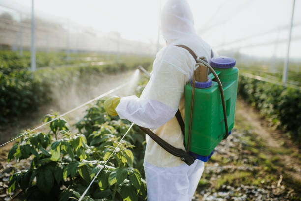 Best Mosquito Control Services  in Maize, KS